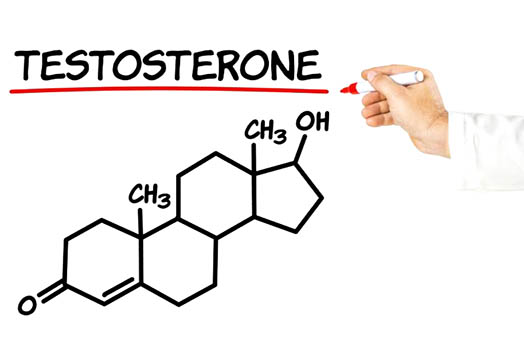 Тестостерон у женщин