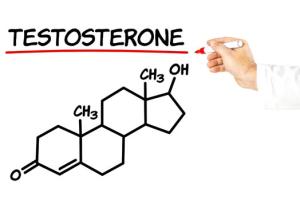 Тестостерон у женщин
